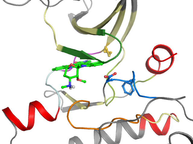The orthosteric binding pocket