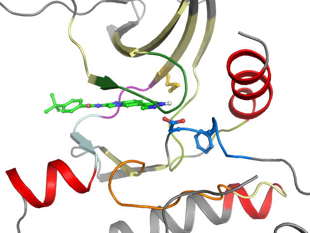The orthosteric binding pocket