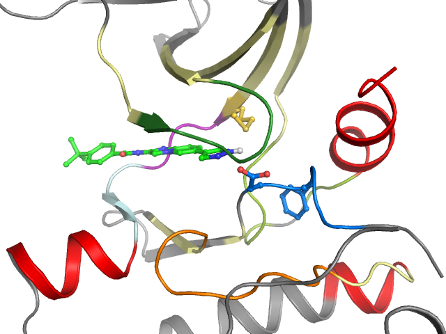 The orthosteric binding pocket