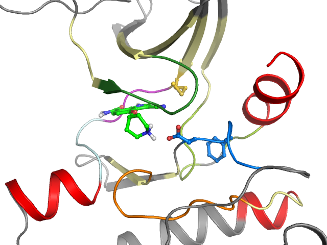 The orthosteric binding pocket