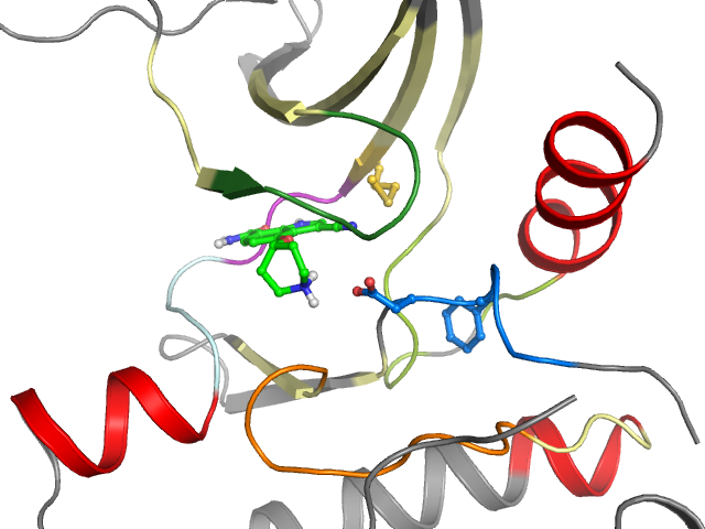 The orthosteric binding pocket