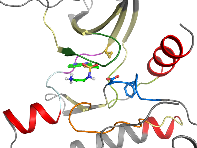 The orthosteric binding pocket