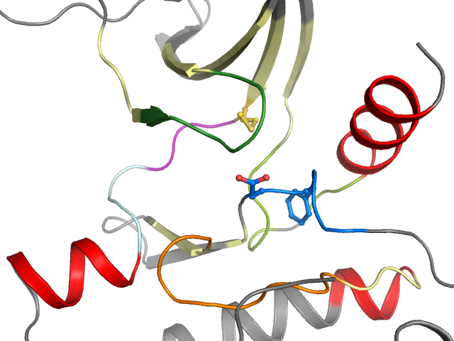 The orthosteric binding pocket