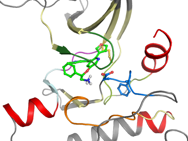 The orthosteric binding pocket