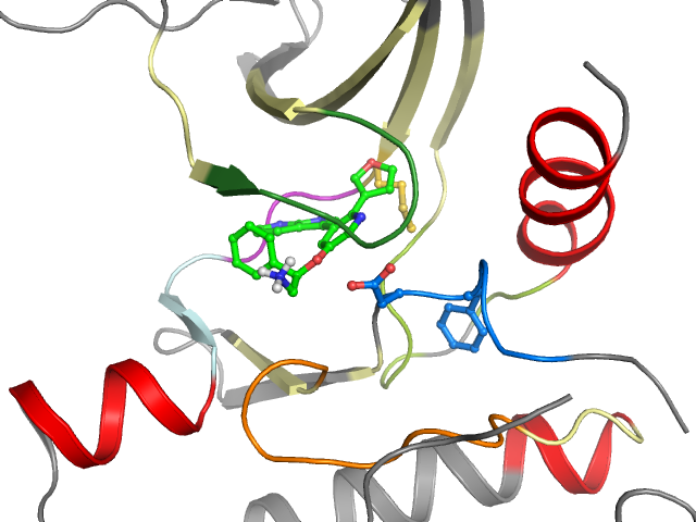 The orthosteric binding pocket