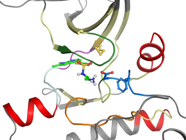 The orthosteric binding pocket