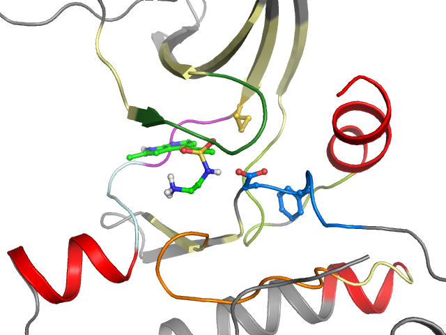 The orthosteric binding pocket