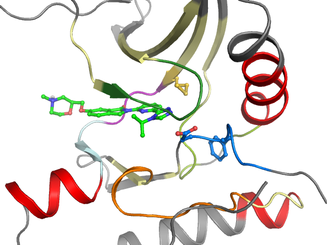 The orthosteric binding pocket
