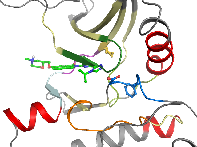 The orthosteric binding pocket