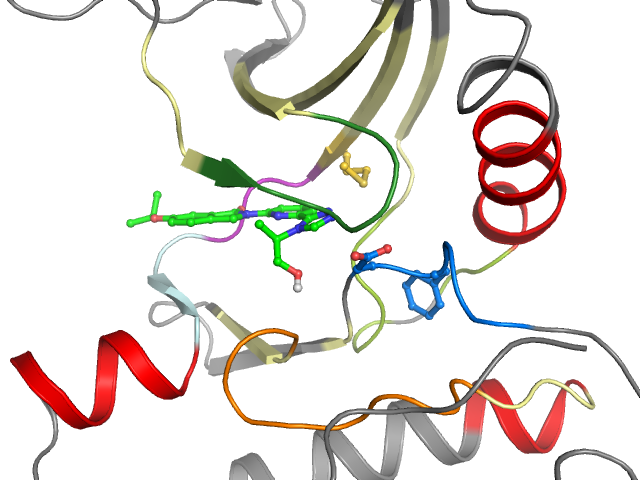 The orthosteric binding pocket