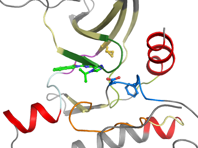 The orthosteric binding pocket