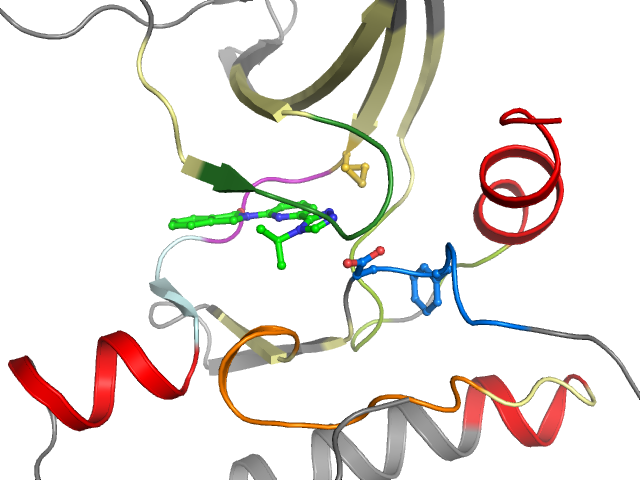 The orthosteric binding pocket