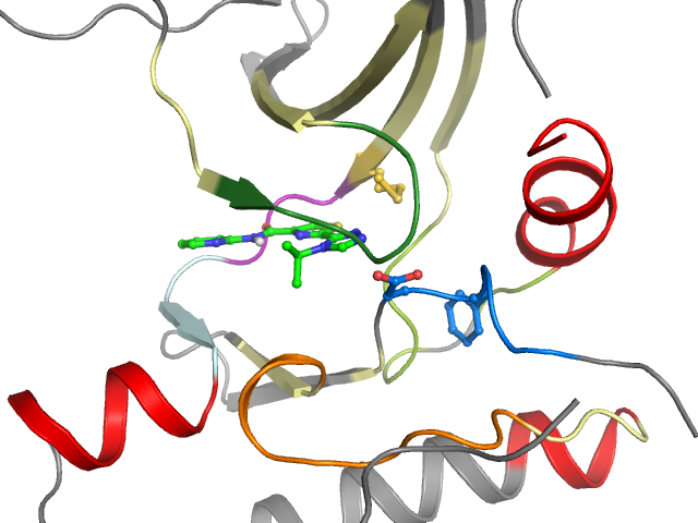 The orthosteric binding pocket