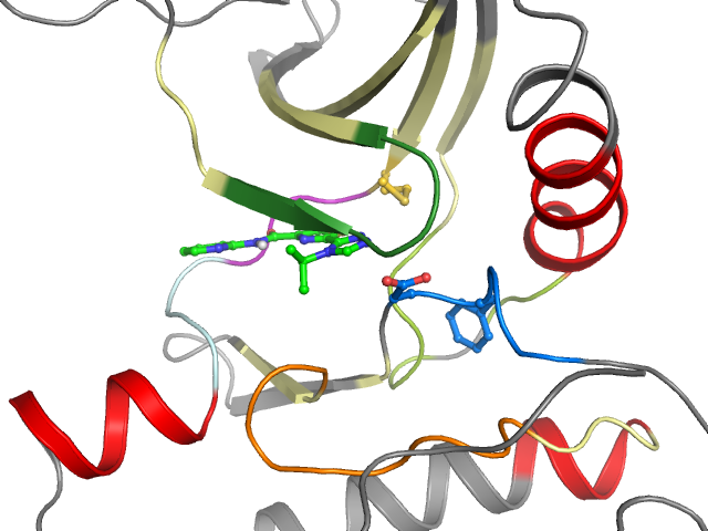 The orthosteric binding pocket