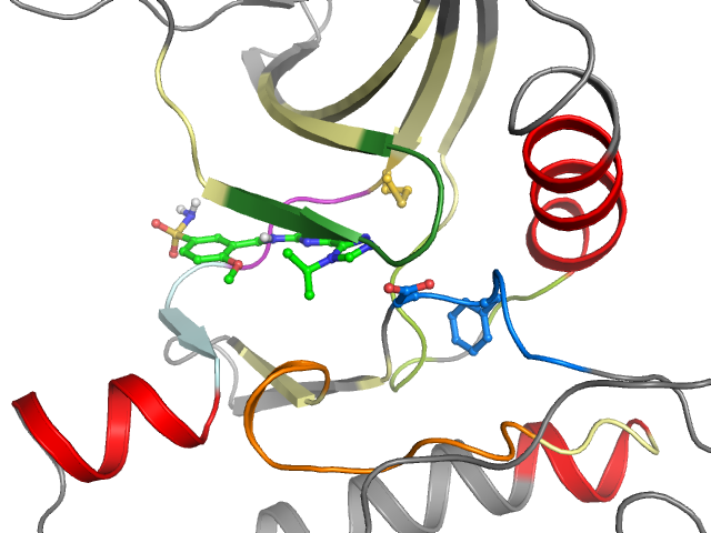 The orthosteric binding pocket