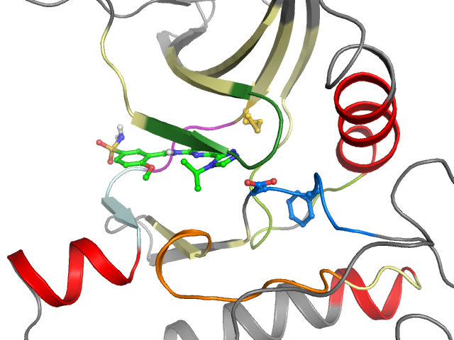 The orthosteric binding pocket