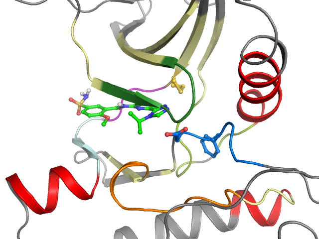 The orthosteric binding pocket