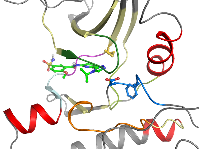 The orthosteric binding pocket