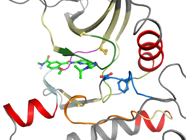 The orthosteric binding pocket
