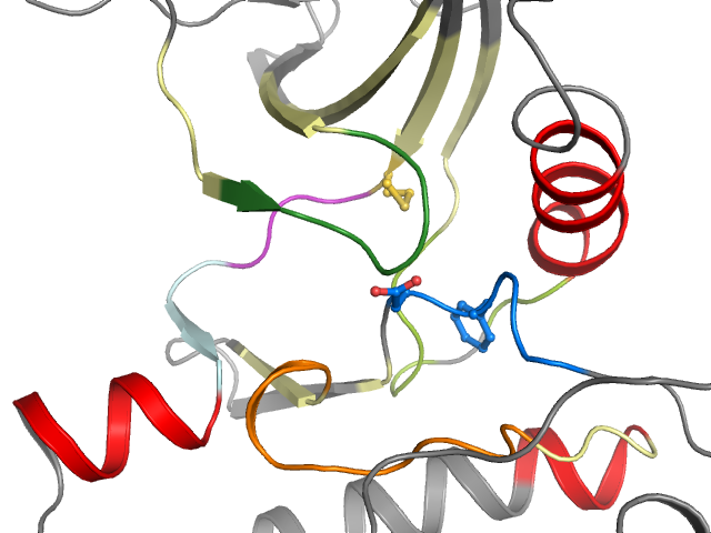 The orthosteric binding pocket