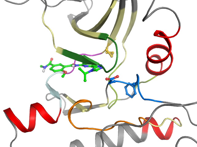 The orthosteric binding pocket