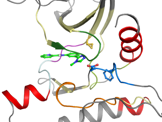 The orthosteric binding pocket