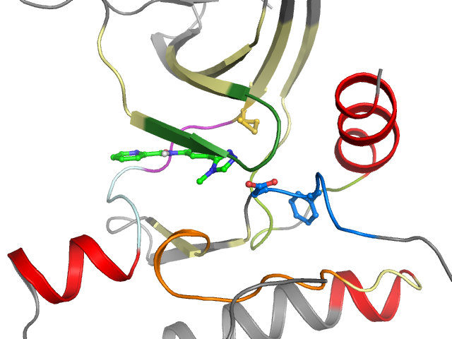 The orthosteric binding pocket