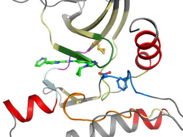 The orthosteric binding pocket