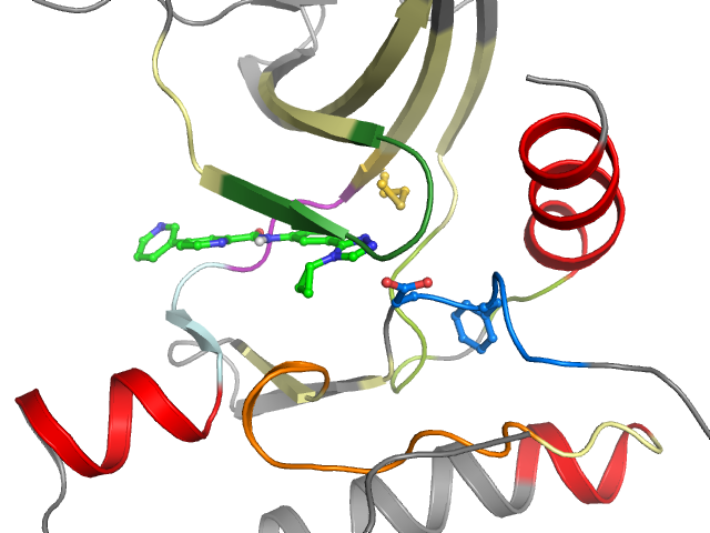 The orthosteric binding pocket