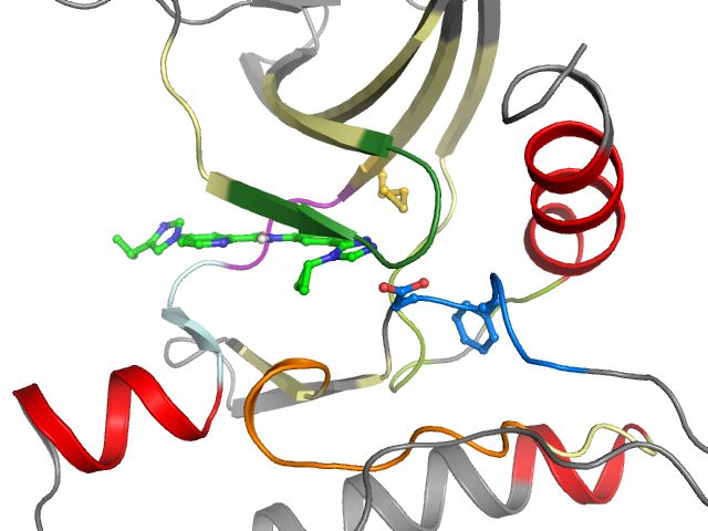 The orthosteric binding pocket