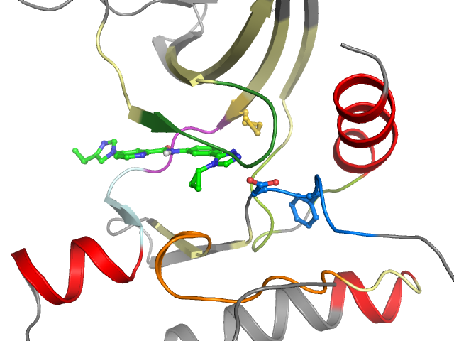 The orthosteric binding pocket