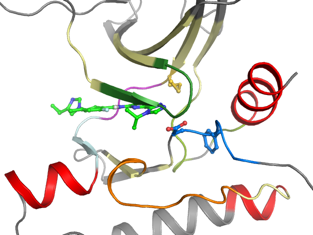 The orthosteric binding pocket