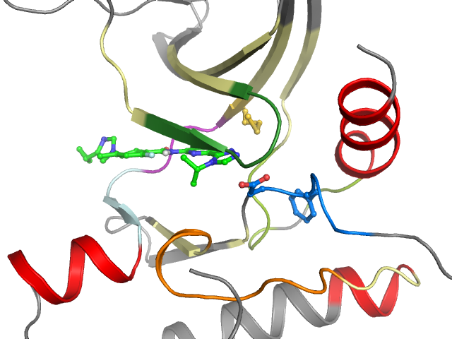 The orthosteric binding pocket