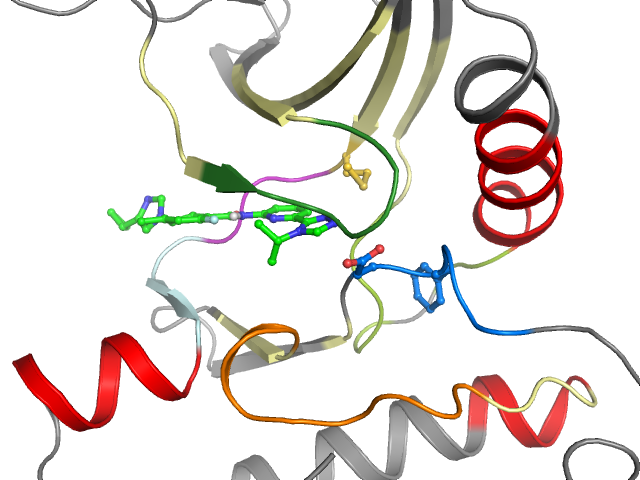The orthosteric binding pocket