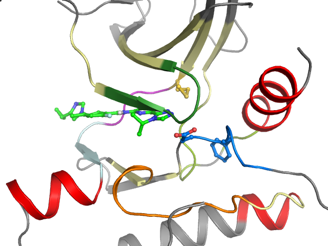 The orthosteric binding pocket