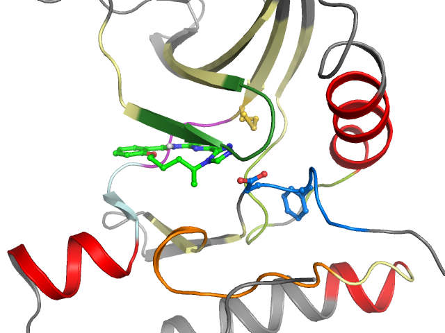 The orthosteric binding pocket