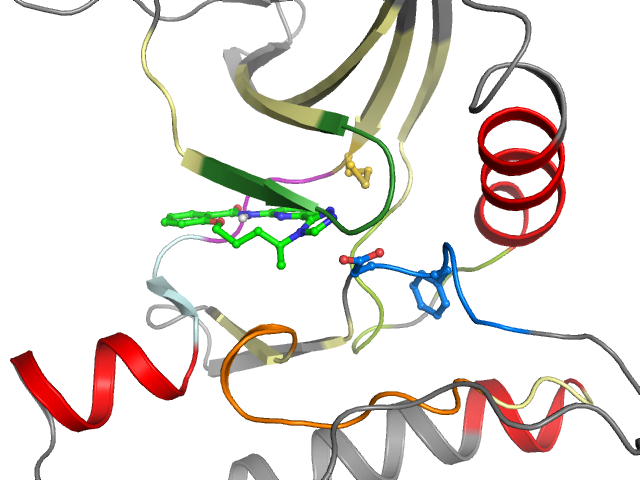 The orthosteric binding pocket