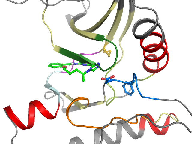 The orthosteric binding pocket
