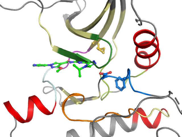 The orthosteric binding pocket