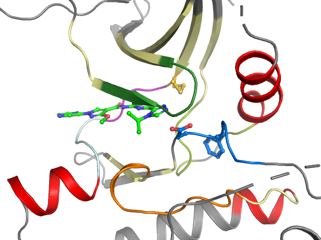 The orthosteric binding pocket