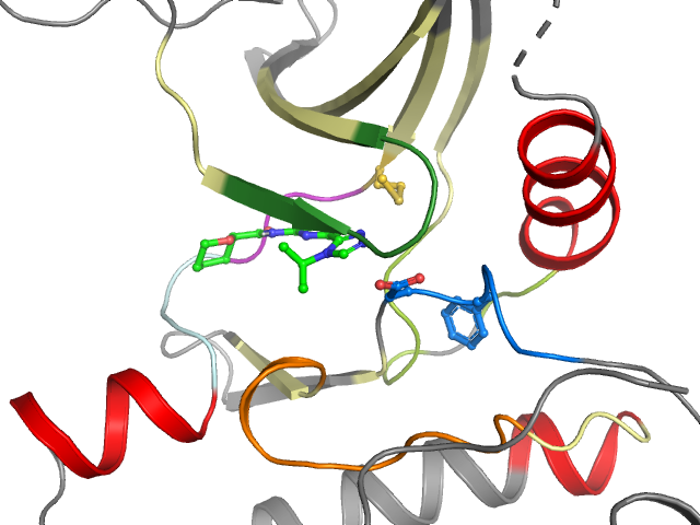 The orthosteric binding pocket