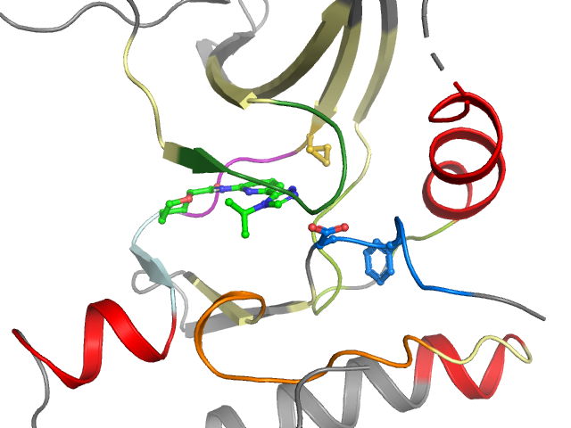 The orthosteric binding pocket