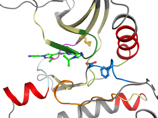 The orthosteric binding pocket