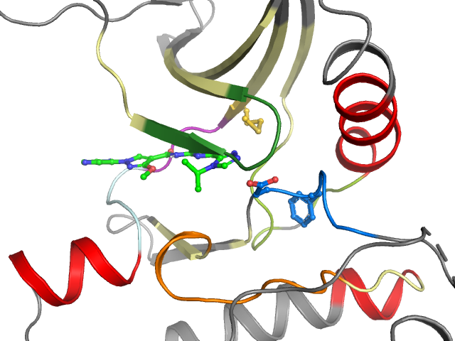 The orthosteric binding pocket