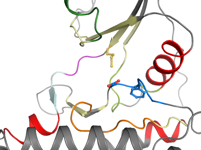 The orthosteric binding pocket