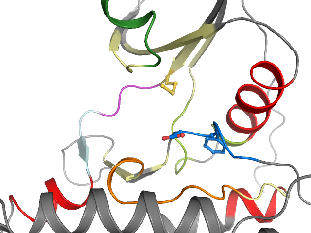 The orthosteric binding pocket
