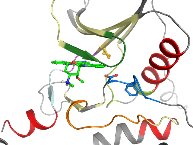 The orthosteric binding pocket