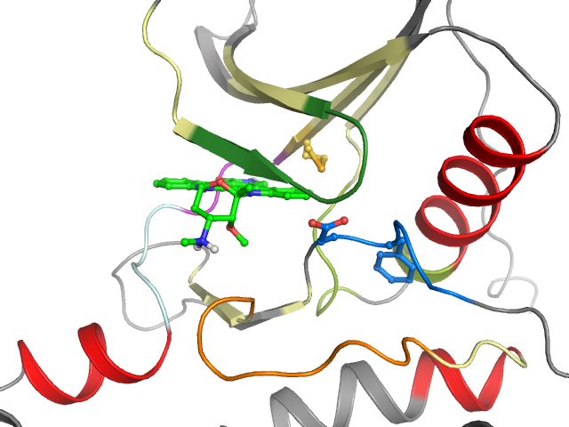 The orthosteric binding pocket