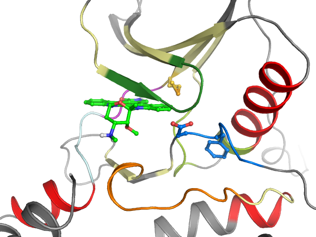 The orthosteric binding pocket