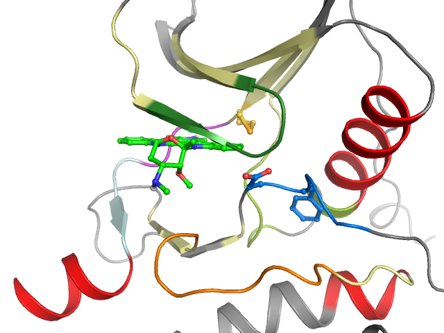 The orthosteric binding pocket